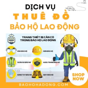 Dịch vụ cho thuê